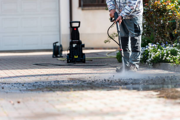 Best Roof Pressure Washing  in Dunbar, SC